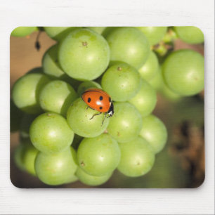 Tapis De Souris Coccinelle en gros plan sur des raisins verts Pino