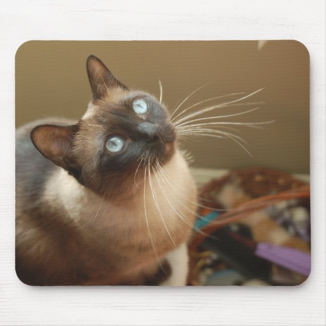 Tapis De Souris Coccinelle Mousepad (Devant)