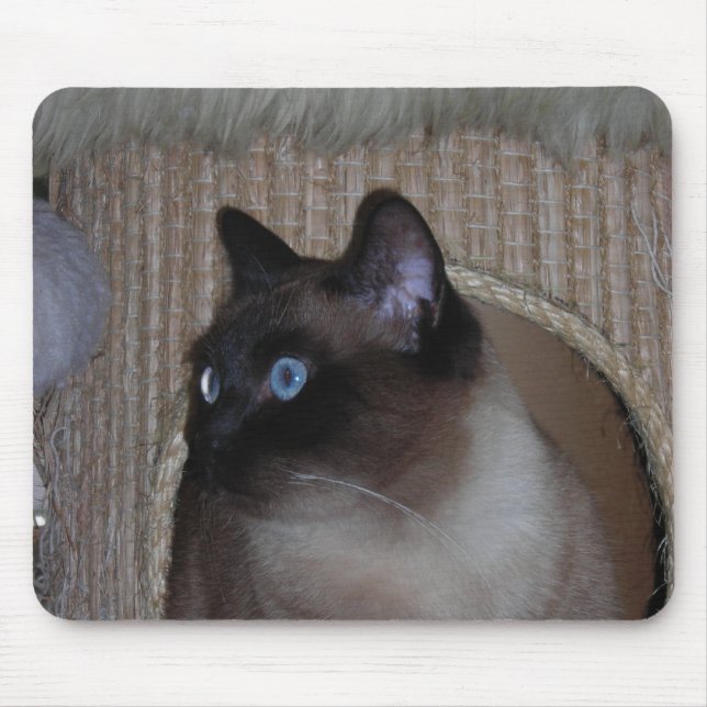 Tapis De Souris Coccinelle Mousepad (Devant)