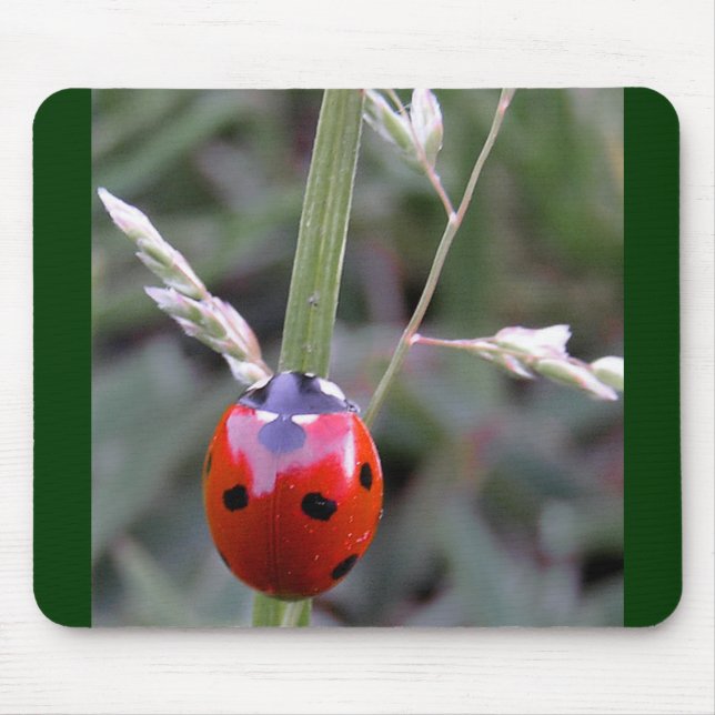 Tapis De Souris Coccinelle Mousepad (Devant)