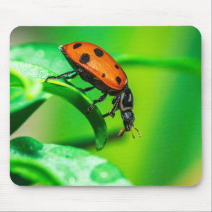 Tapis de souris Coccinelle Photo macro de la nat