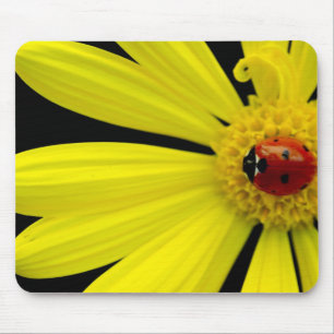 Tapis De Souris Coccinelle sur la marguerite jaune