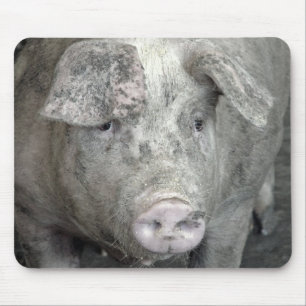Tapis De Souris Cochon