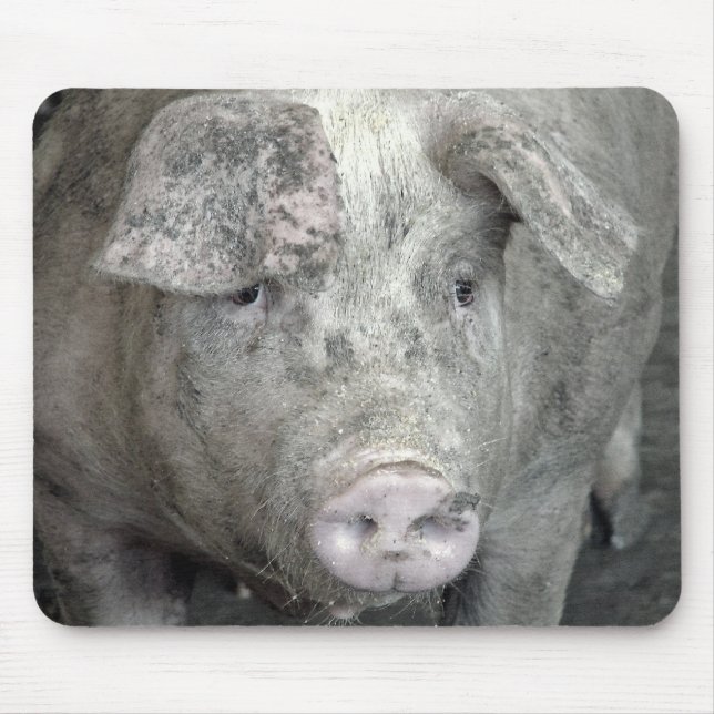 Tapis De Souris Cochon (Devant)
