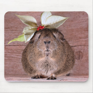 Tapis De Souris Cochon de Guinée