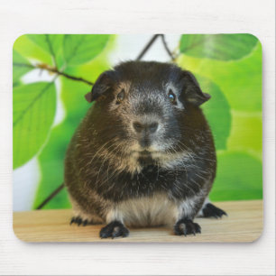 Tapis De Souris Cochon en argent lisse Fox Guinée