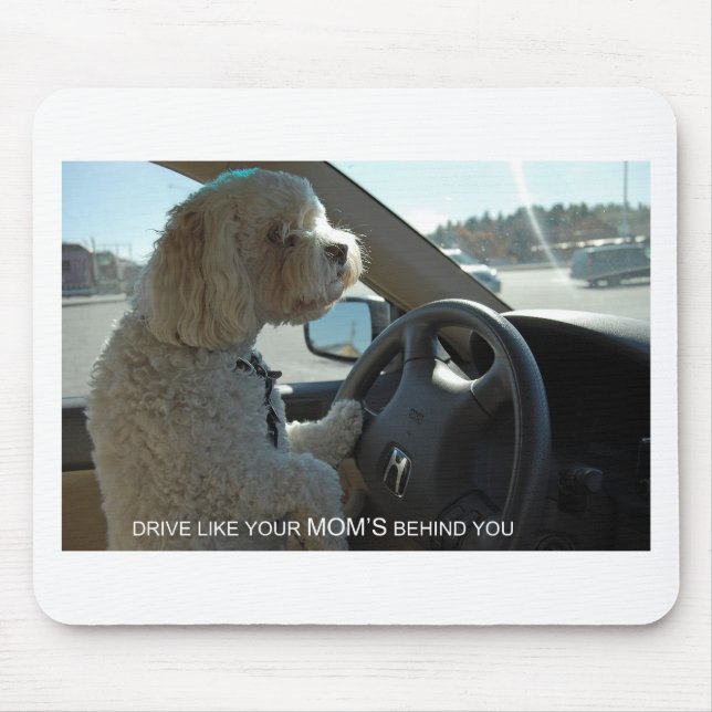 Tapis De Souris Cockapoo méfiant jette un coup d'oeil dans le (Devant)