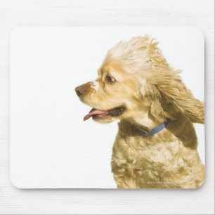 Tapis De Souris Cocker