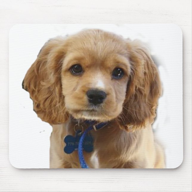 Tapis De Souris Cocker spaniel (Devant)