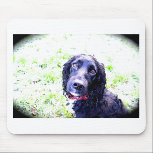 Tapis De Souris Cocker Spaniel