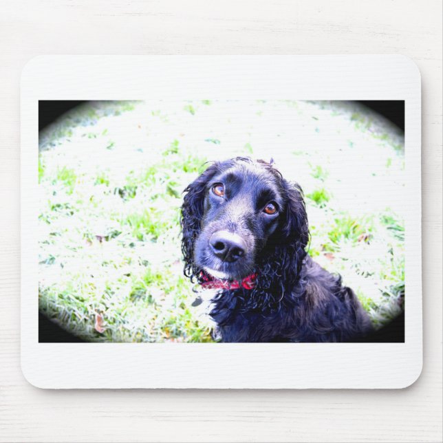 Tapis De Souris Cocker Spaniel (Devant)