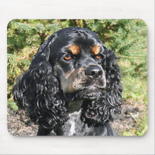 Tapis De Souris Cocker Spaniel