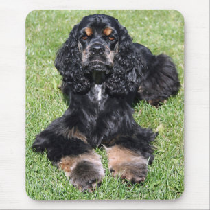 Tapis De Souris Cocker Spaniel Photo Mousepad