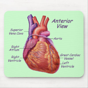 Tapis De Souris Coeur humain étiqueté Mousepad