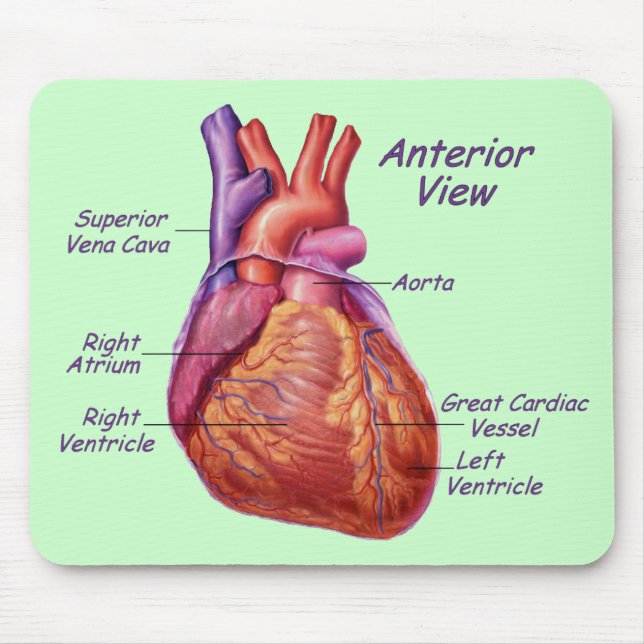 Tapis De Souris Coeur humain étiqueté Mousepad (Devant)