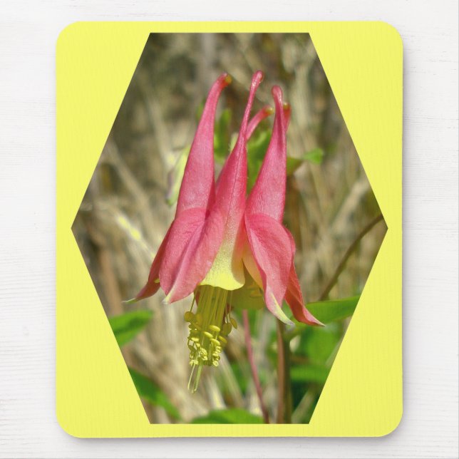 Tapis De Souris Colbine sauvage Mousepad (Devant)