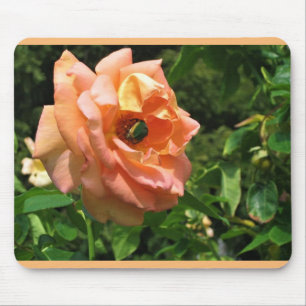 Tapis De Souris Coléoptère sur une rose