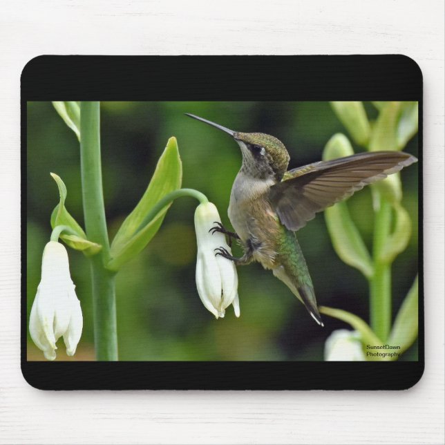 Tapis De Souris Colibri (Devant)