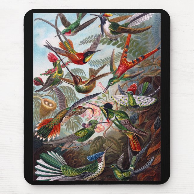 Tapis De Souris Colibri (Devant)