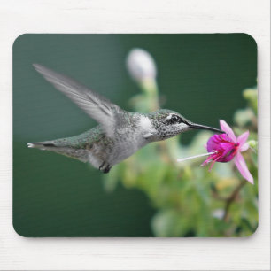 Tapis De Souris Colibri