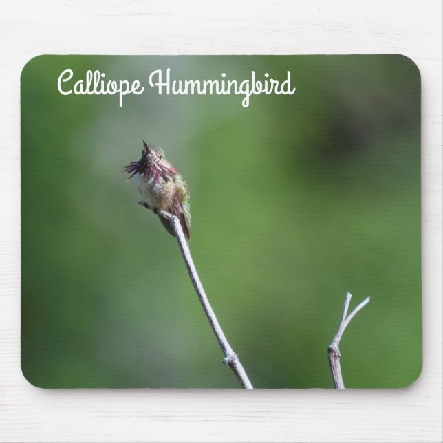Tapis De Souris Colibri (Devant)