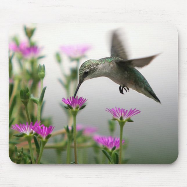Tapis De Souris Colibri (Devant)