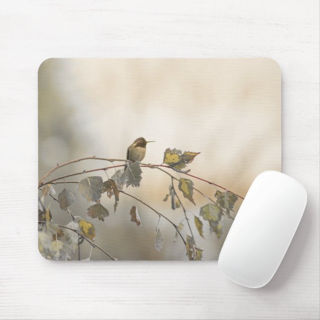 Tapis De Souris Colibri 5265 (Avec souris)