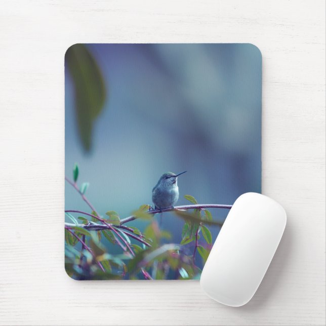 Tapis De Souris Colibri 5738 (Avec souris)