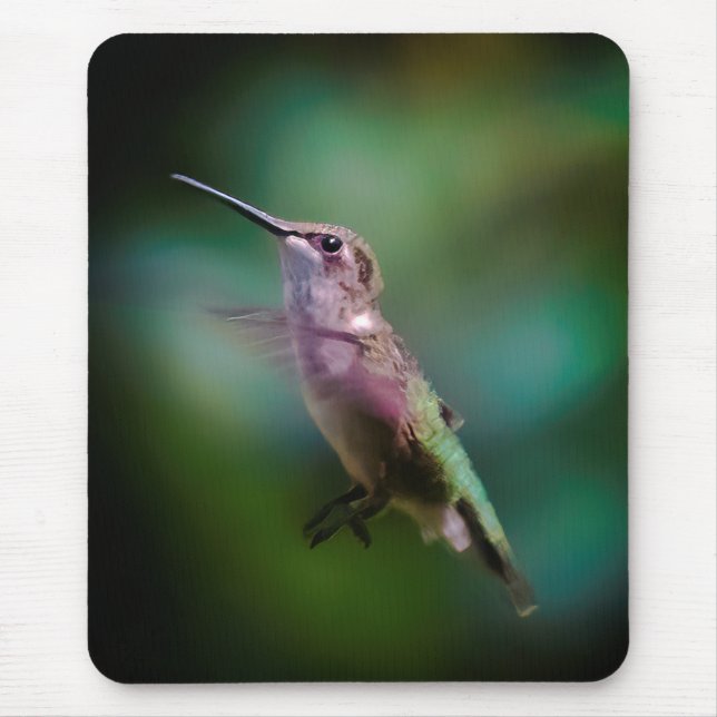 Tapis De Souris Colibri à gorge rubis - Photo originale (Devant)