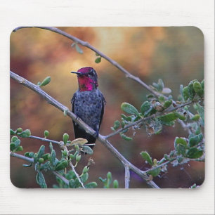 Tapis De Souris Colibri au coucher du soleil