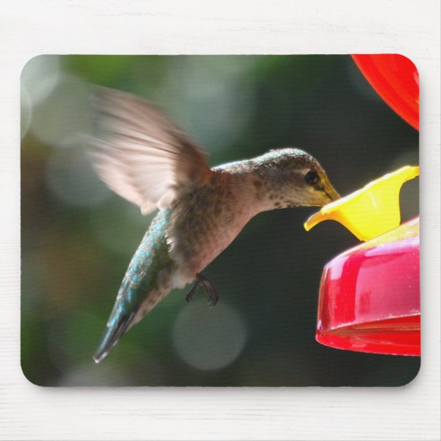 Tapis De Souris Colibri, mousepad (Devant)
