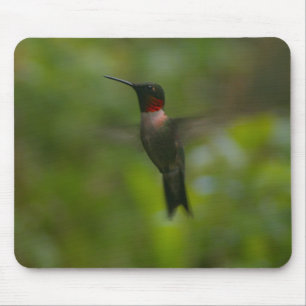Tapis De Souris Colibri Ruby Throat