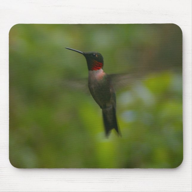 Tapis De Souris Colibri Ruby Throat (Devant)