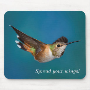 Tapis De Souris Colibri Rufous