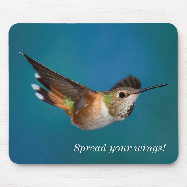 Tapis De Souris Colibri Rufous (Devant)