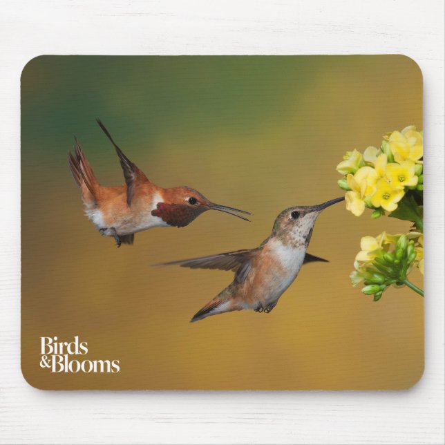 Tapis De Souris Colibri Rufous de flottement (Devant)