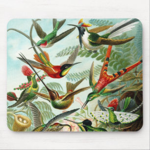 Tapis De Souris Colibris de Haeckel
