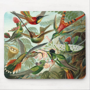 Tapis De Souris Colibris par Ernst Haeckel, Oiseaux Vintages