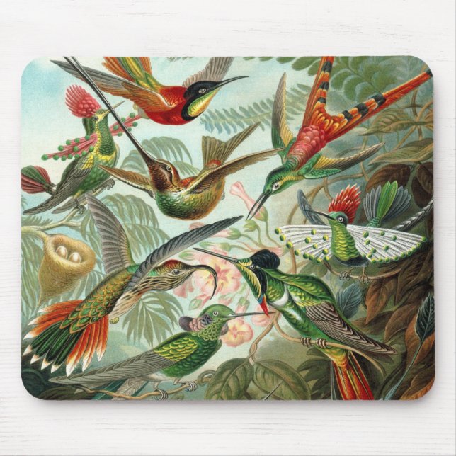 Tapis De Souris Colibris par Ernst Haeckel, Oiseaux Vintages (Devant)