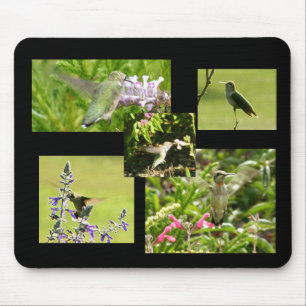 Tapis De Souris Collage de colibri