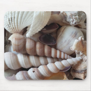 Tapis De Souris Collection de coquillages marins exotiques, Summer