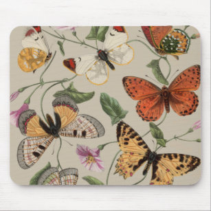 Tapis De Souris Collection de la papillon Moth Nature Dessin