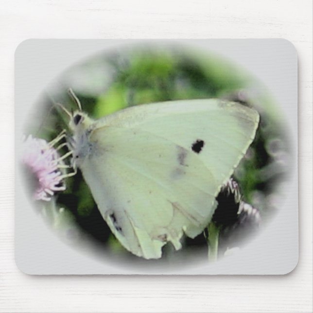 Tapis De Souris Collection de papillon (Devant)