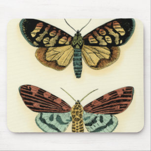 Tapis De Souris Collection de papillon par Chariklia Zarris