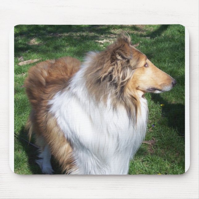 TAPIS DE SOURIS COLLIE (Devant)