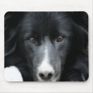 Tapis De Souris Collie Bordure Noire Face Chien