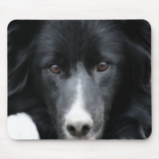 Tapis De Souris Collie Bordure Noire Face Chien (Devant)