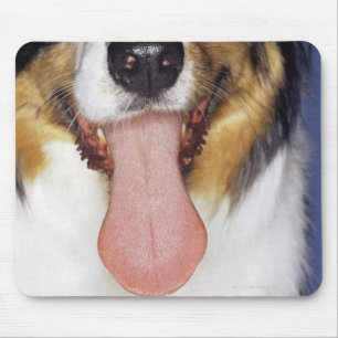 Tapis De Souris Collie langue à balancer