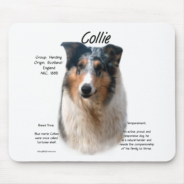 Tapis De Souris Collie (merle lisse) (Devant)