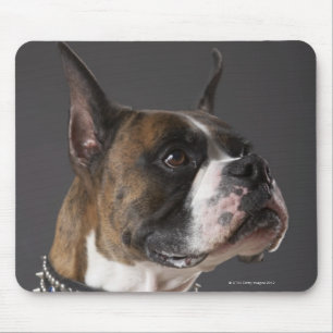 Tapis De Souris Collier de port de chien, regardant loin